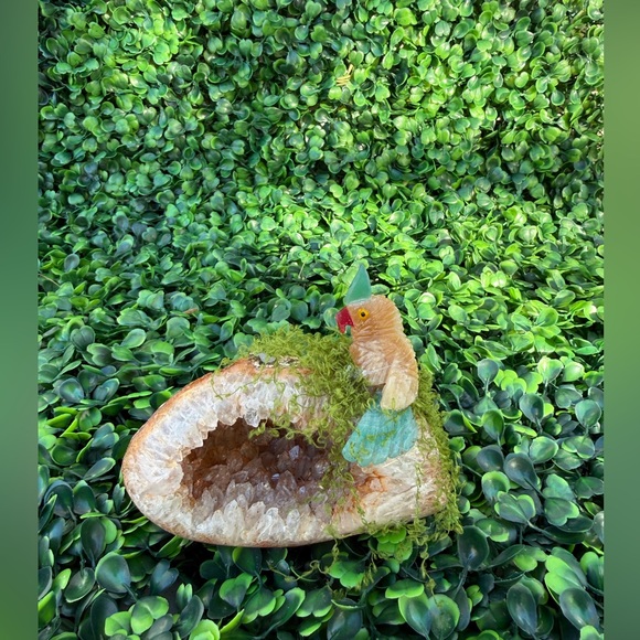 Parrot carving on Agate Geode – Handcrafted - Picture 4 of 6